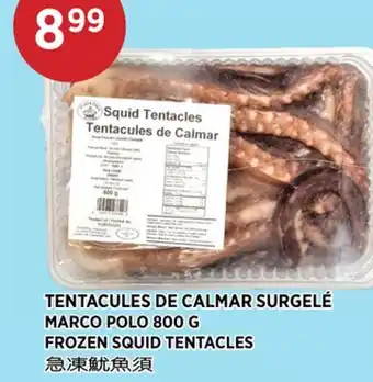 Kim Phat MARCO POLO FROZEN SQUID TENTACLES offer