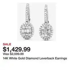 TSC Stores 14K White Gold Diamond Leverback Earrings offer