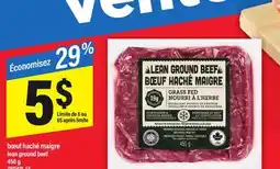 Maxi BŒUF HACHÉ MAIGRE | LEAN GROUND BEEF, 450 g offer