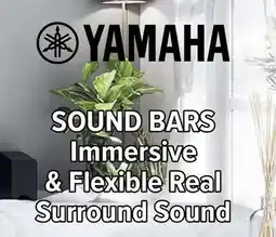2001 Audio Video SRC20A YAMAHA SOUND BARS offer