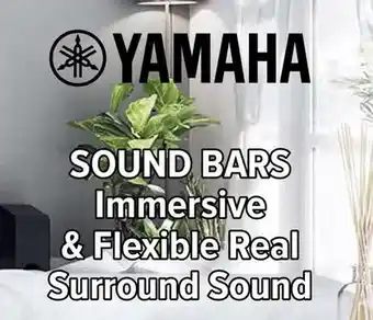 2001 Audio Video SRC20A YAMAHA SOUND BARS offer