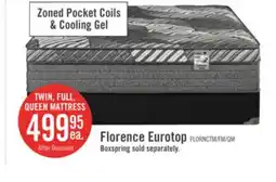 The Brick Springwall Florence Eurotop Luxury Firm Twin Mattress offer