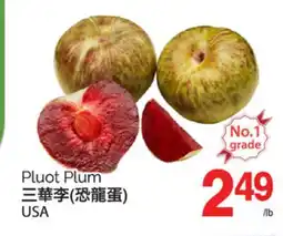 T&T Supermarket PLUOT PLUM offer