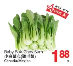 T&T Supermarket BABY BOK-CHOY SUM offer