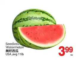 T&T Supermarket SEEDLESS WATERMELON offer