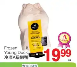T&T Supermarket FROZEN YOUNG DUCK offer