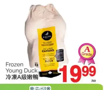 T&T Supermarket FROZEN YOUNG DUCK offer