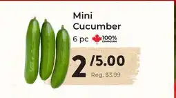 Marche Leo's Mini Cucumber offer