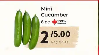 Marche Leo's Mini Cucumber offer