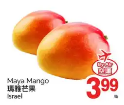 T&T Supermarket MAYA MANGO offer