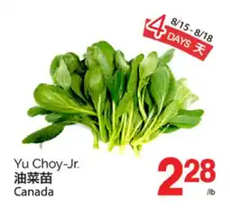 T&T Supermarket YU CHOY-JR offer