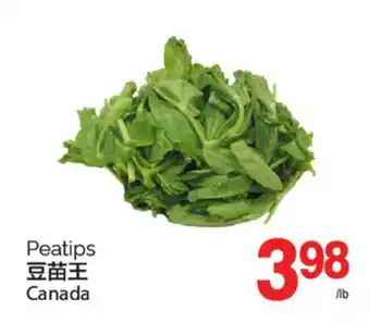 T&T Supermarket PEATIPS offer