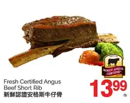 T&T Supermarket FRESH CERTIFIED ANGUS BEEF SHORT RIB offer
