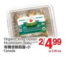 T&T Supermarket ORGANIC KING OYSTER MUSHROOM-BABY offer