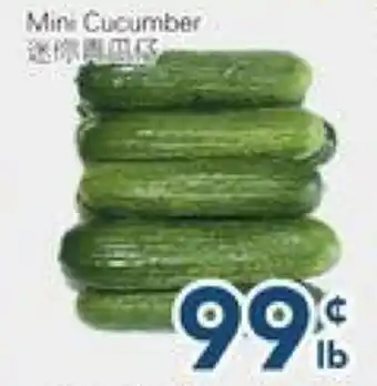 Oceans Fresh Food Market Mini Cucumber offer