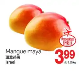 T&T Supermarket MANGUE MAYA offer