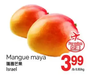 T&T Supermarket MANGUE MAYA offer