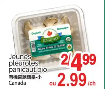 T&T Supermarket JEUNES PLEUROTES PANICAUT BIO offer