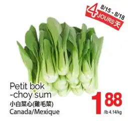 T&T Supermarket PETIT BOK -CHOY SUM offer