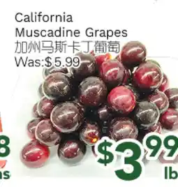 Ample Food Market California Muscadine Grapes offer
