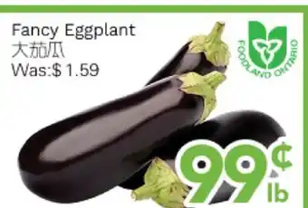 Ample Food Market Fancy Eggplant offer