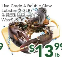Ample Food Market Live Grade A Double Claw Lobster offer