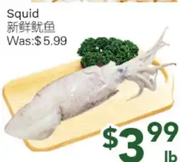 Ample Food Market Squid offer