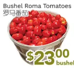 Ample Food Market Bushel Roma Tomatoes offer