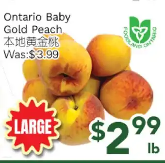 Ample Food Market Ontario Baby Gold Peach offer