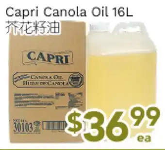 Ample Food Market Capri Canola Oil offer