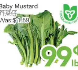 Ample Food Market Baby Mustard offer