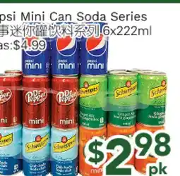 Ample Food Market Pepsi Mini Can Soda Series offer