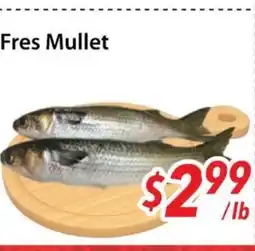 Bestco Food Mart Fres Mullet offer