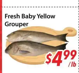 Bestco Food Mart Fresh Baby Yellow Grouper offer