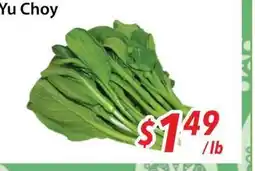 Bestco Food Mart Yu Choy offer