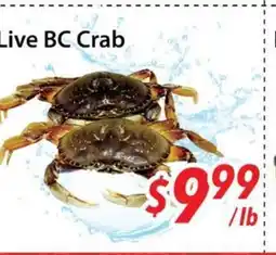 Bestco Food Mart Live BC Crab offer