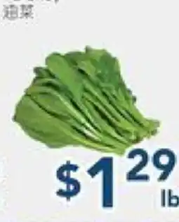 Oceans Fresh Food Market Yu Chow offer
