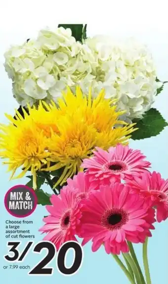 Choose from a large assortment of cut flowers