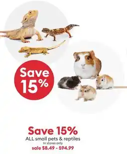 Petsmart ALL small pets & reptiles offer