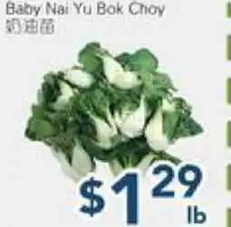 Oceans Fresh Food Market Baby Na Yu Bok Choy offer
