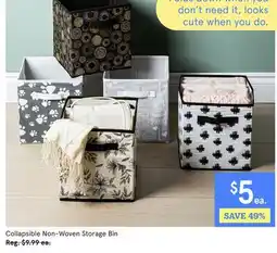 Kitchen Stuff Plus Collapsible Non-Woven Storage Bin offer