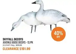 Sail SKYFALL DECOYS JUVENILE GOOSE DECOYS - 12/PK offer