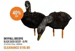 Sail SKYFALL DECOYS BLACK DUCK DECOY 6/PK offer