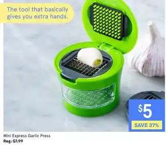 Kitchen Stuff Plus Mini Express Garlic Press offer