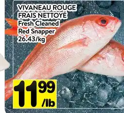 Supermarché PA VIVANEAU ROUGE FRAIS NETTOYÉ offer