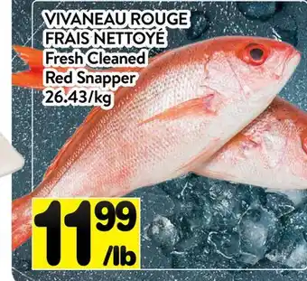Supermarché PA VIVANEAU ROUGE FRAIS NETTOYÉ offer