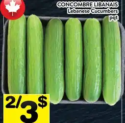 Supermarché PA CONCOMBRE LIBANAIS | Lebanese Cucumbers offer