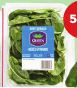 Giant Tiger 5 oz baby spinach offer
