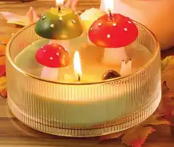 Giant Tiger Mushrooms with snail or animals, 6 diameter offer