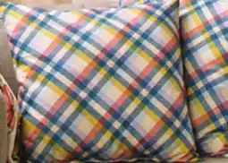 Giant Tiger MicroMink Printed Cushions offer